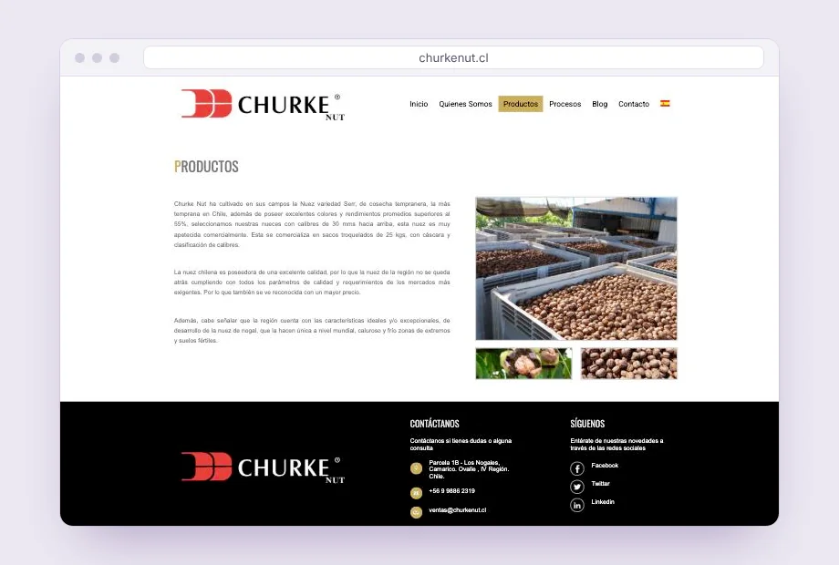 La nuez Serr: calibres, rendimiento y formato de venta.