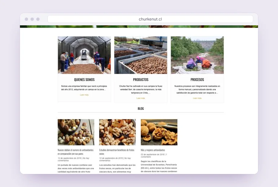 Quiénes somos, productos, procesos y blog desde la portada.